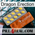 Dragon Erection 42